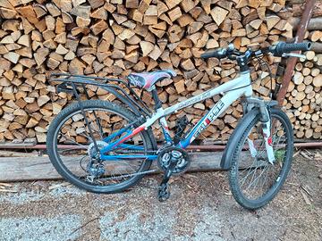 bicicletta mtb eclipse custom 2.4