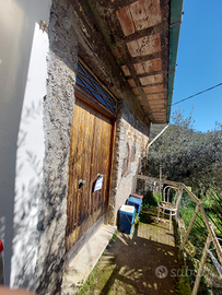 Casetta di campagna e terreno