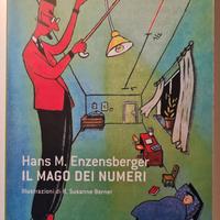 Il mago dei numeri. Un libro da leggere prima di a