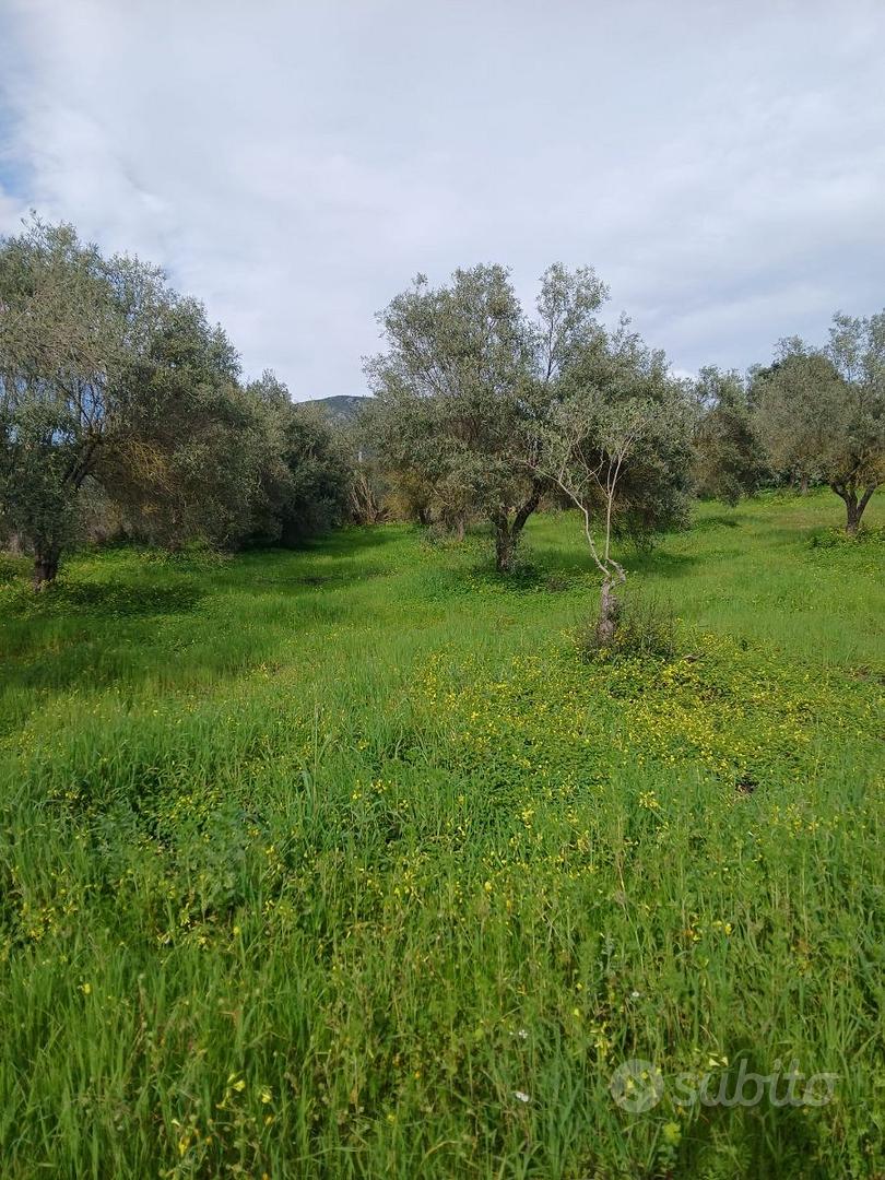 TERRENO AGRICOLO S'ARRIDELI SERDIANA - Vista 2