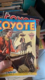 Albi del coyote western 