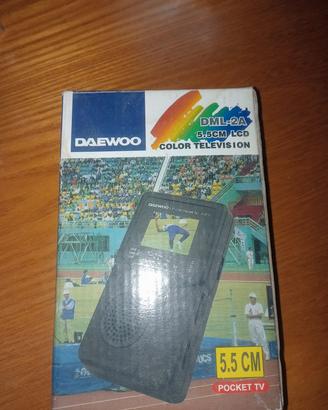 TV portatile anni 2001 funziona 