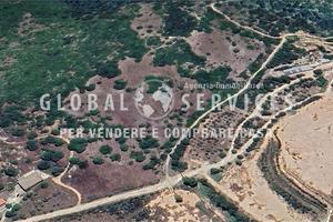 Azienda Agricola a Olmedo