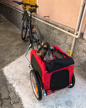 Carrellino bicicletta cane piccola taglia