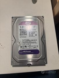 HDD WD PURPLE SATA 1 Tb video sorveglianza