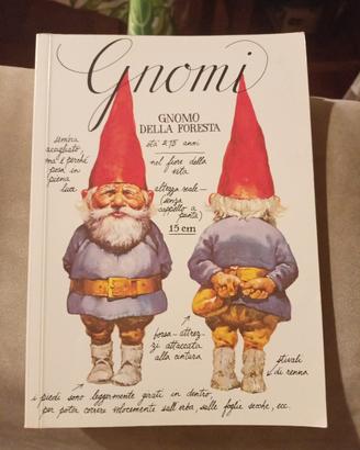 Libro Gnomi