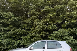 Volkswagen Golf 1.8 turbo 20V cat 5p. GTI