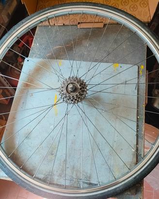 ruota posteriore 