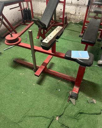 Palestra