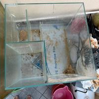 Sump acquario marino aqpet