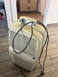 deumidificatore Delonghi