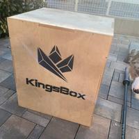 Pylo box kingsbox