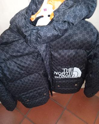 Gucci x North face