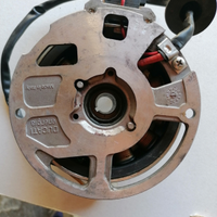 Volano magnete F12 euro 2 2.3 l. C