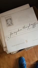 Dischi in Vinile pari al nuovo