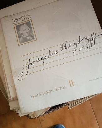 Dischi in Vinile pari al nuovo