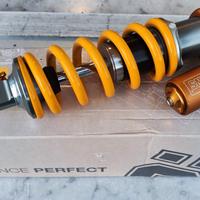 Ammortizzatore Ohlins TTX22 coil