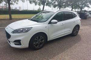 Ford Kuga 2.0 TDI ST-Line – 2023 – 81.000 km