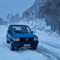 Panda 4x4