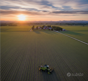 Terreno 5000 mq Mondragone