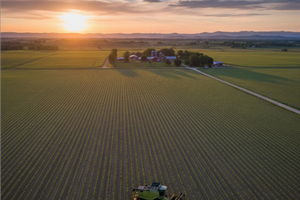 Terreno 5000 mq Mondragone