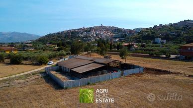 Proprietà agricola 3 HA con fabbricato e stalla