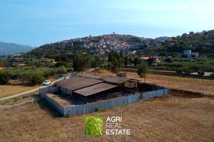 Proprietà agricola 3 HA con fabbricato e stalla