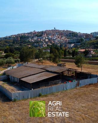 Proprietà agricola 3 HA con fabbricato e stalla