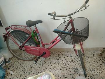 Bicicletta adulto
