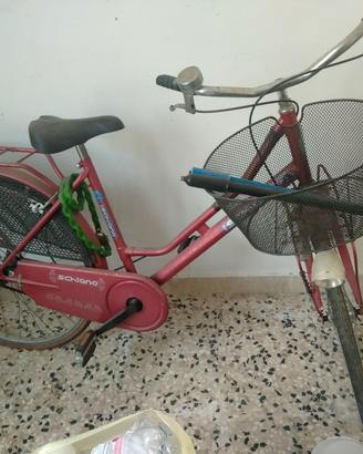 Bicicletta adulto