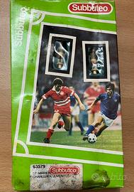 Subbuteo 63579