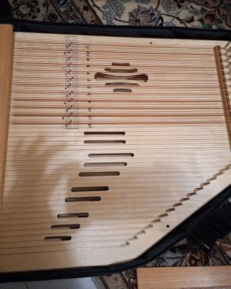 Salterio-riproduzione professionale