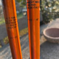 Racchette gabel da sci alpinismo