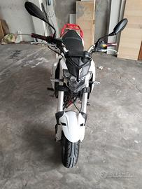 Benelli TNT 125