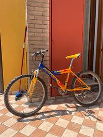 Bicicletta da ragazzino