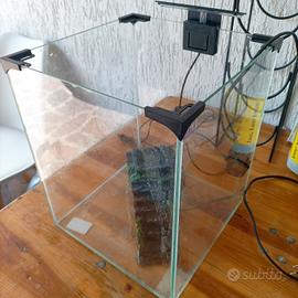tartarughiera o piccolo acquario 