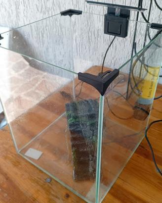 tartarughiera o piccolo acquario 