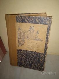 Passione lontana - Liala Prima edizione 1965