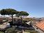 Immagine 15