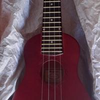 Ukulele con lezioni online