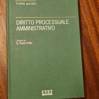 diritto processuale amministrativo 