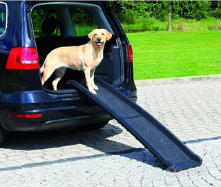 Pet Around You Rampa Pieghevole auto - Rocket