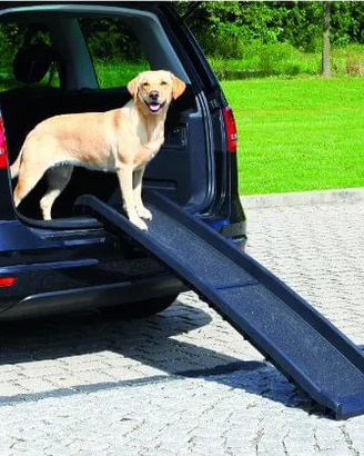Pet Around You Rampa Pieghevole auto - Rocket