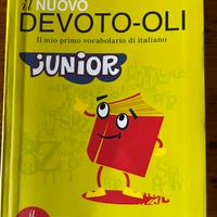 Dizionario junior