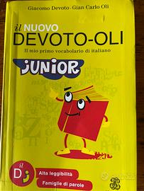 Dizionario junior