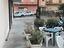 Immagine 12