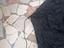 Immagine 6