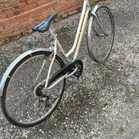 Bicicletta Citybike