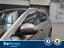 Immagine 19
