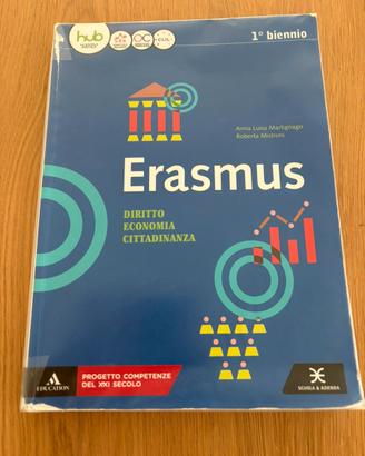 Erasmus diritto